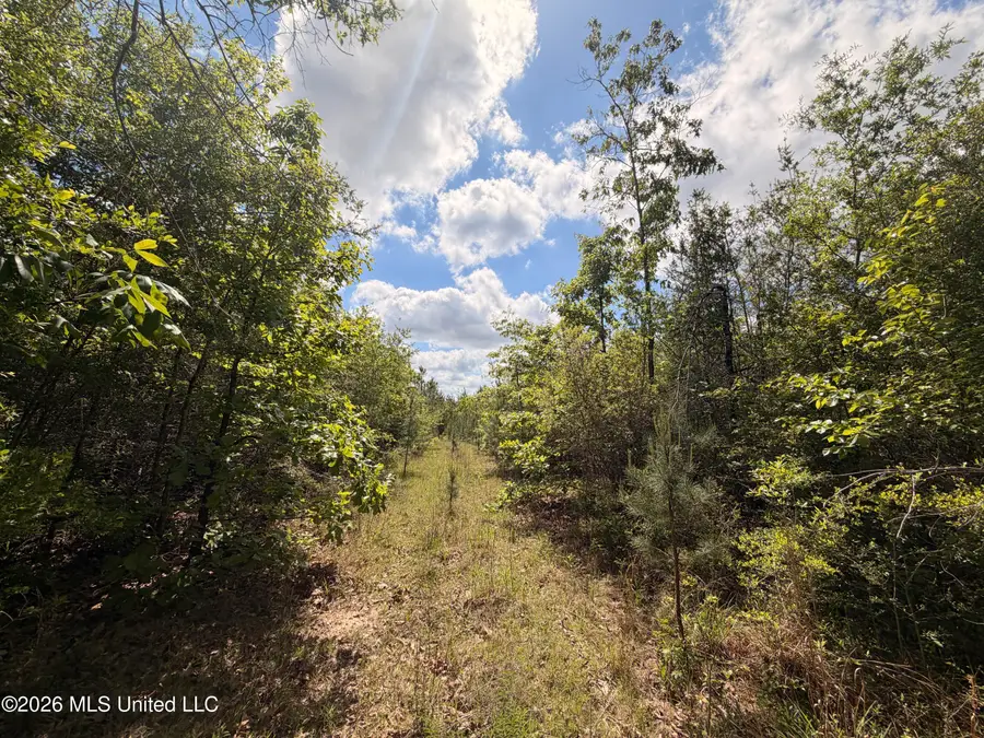 93 Hammond Road, Monticello, MS 39654 - #3