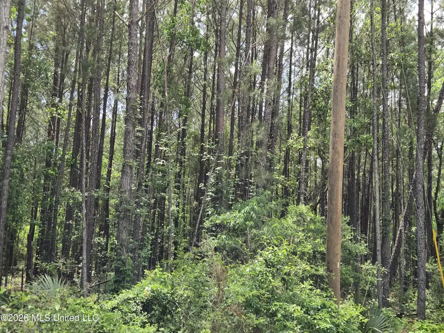 17th Street, Bay Saint Louis, MS 39520 - #3