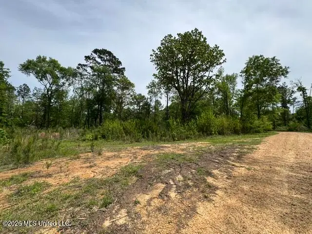 104 Homochitto National Forest Road, Meadville, MS 39653 - #2