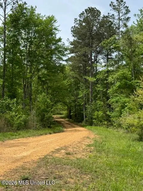 104 Homochitto National Forest Road, Meadville, MS 39653 - #3