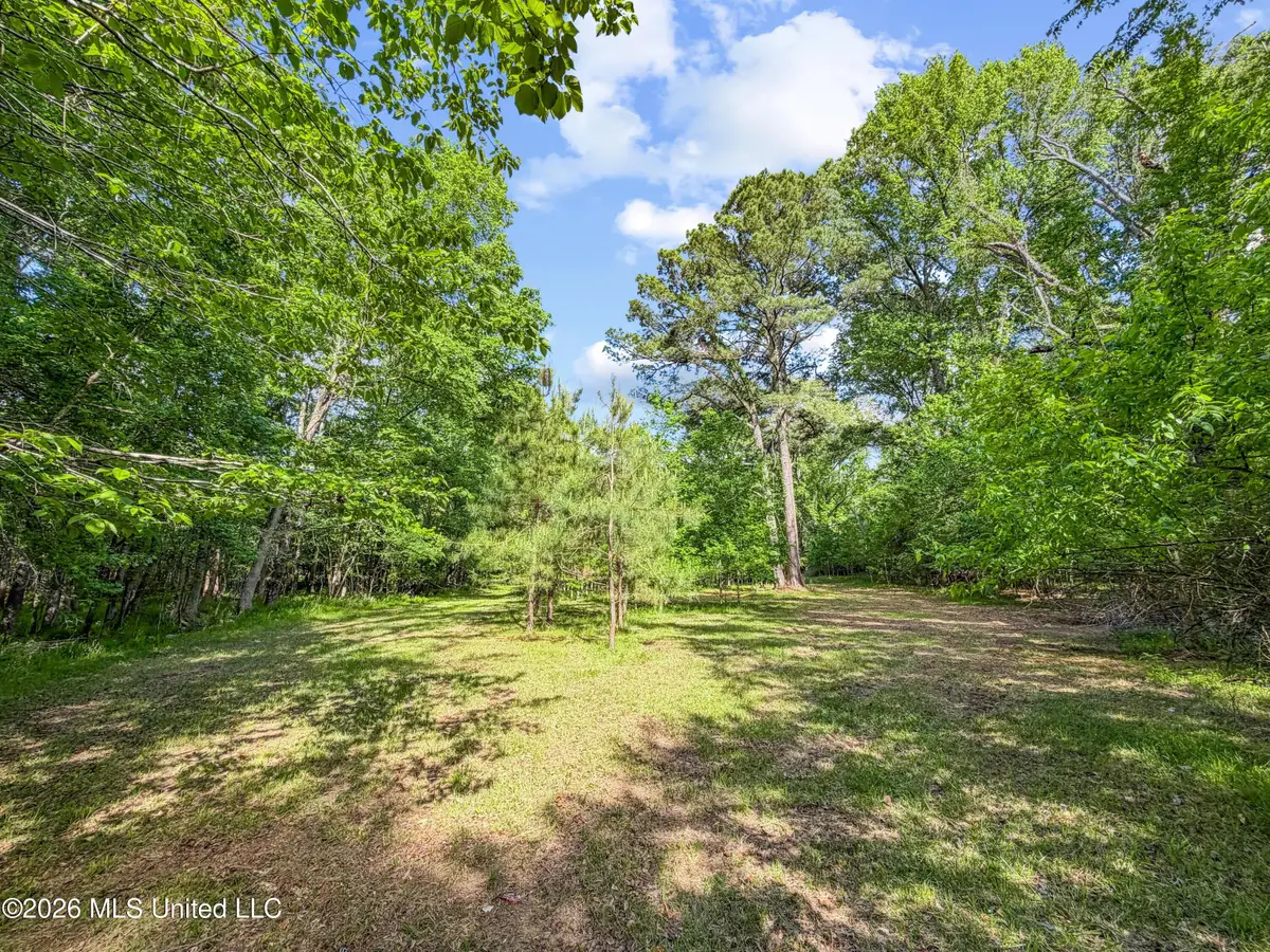 Lorman Lane, Madison, MS 39110 - #1