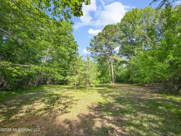 Lorman Lane, Madison, MS 39110
