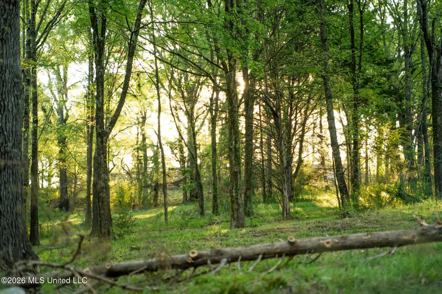 1090 Cedar Hill Road, Madison, MS 39110 - #2