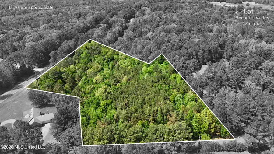 Pleasant Valley Drive, Holly Springs, MS 38635 - #3