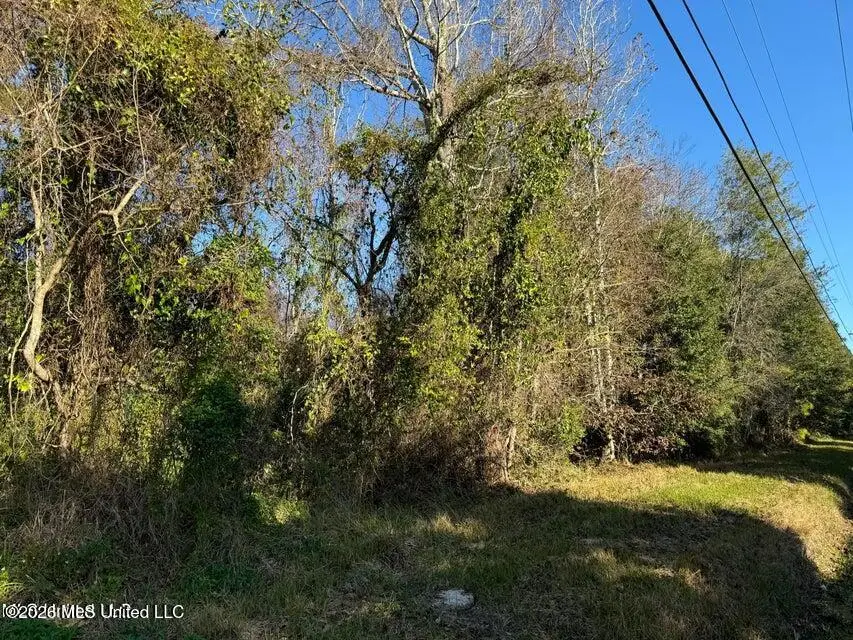 Seacliff Boulevard, Ocean Springs, MS 39564 - #1