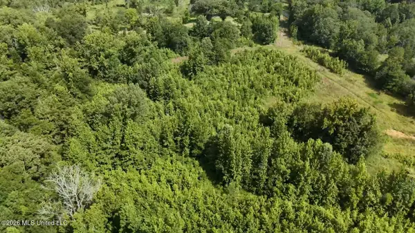 0 Chapel Hill Road, Utica, MS 39175