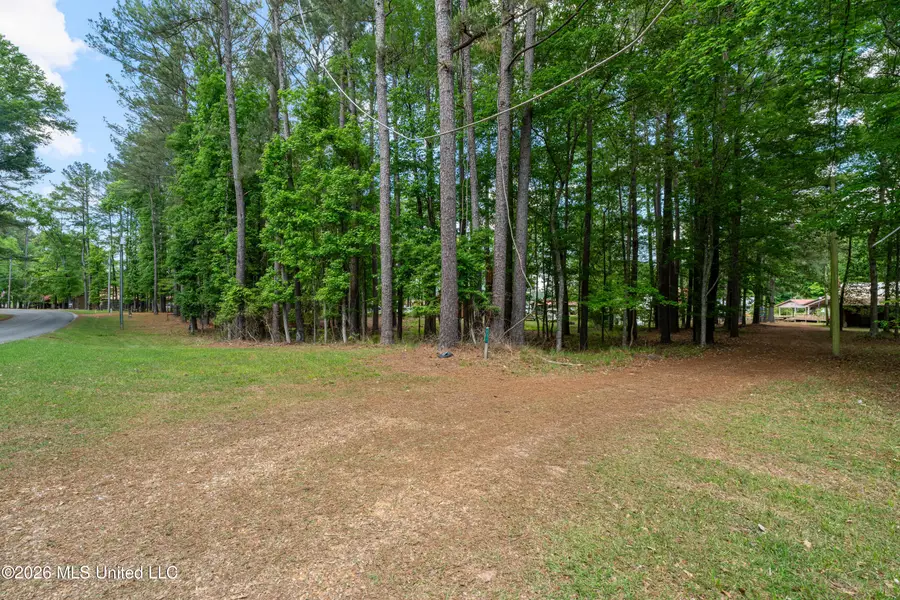 494 Lake Eddins 1638, Pachuta, MS 39347 - #2