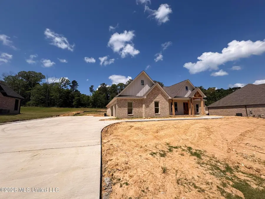 116 Richburg Court, Pearl, MS 39208 - #3