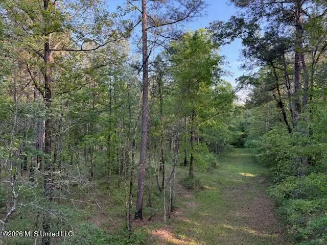 Mudline Road, Lake, MS 39092 - #1