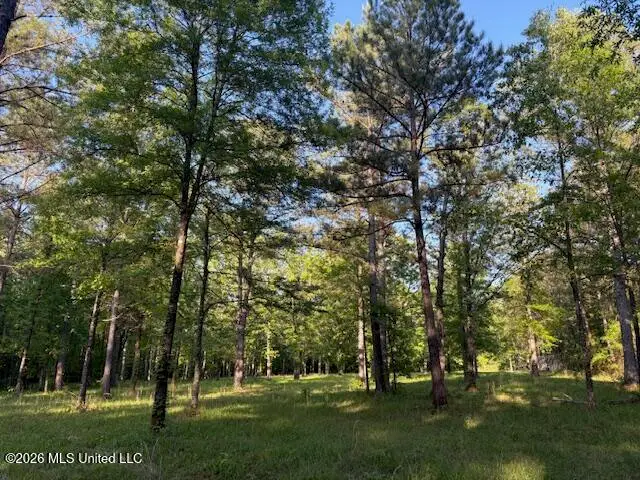 Mudline Road, Lake, MS 39092 - #3