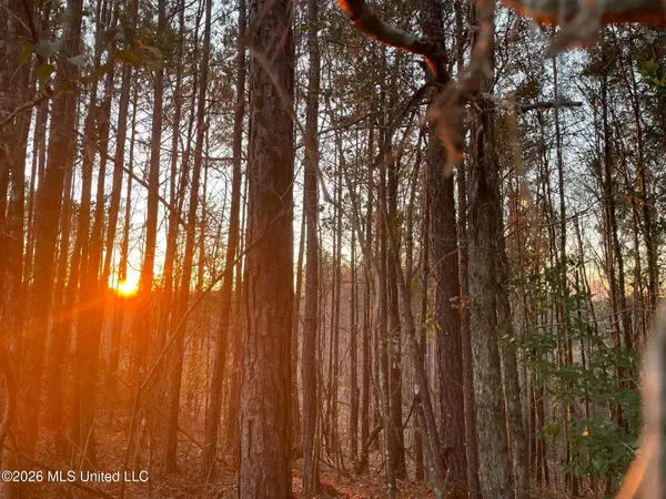 371 SW Low Water Lane, Brookhaven, MS 39601