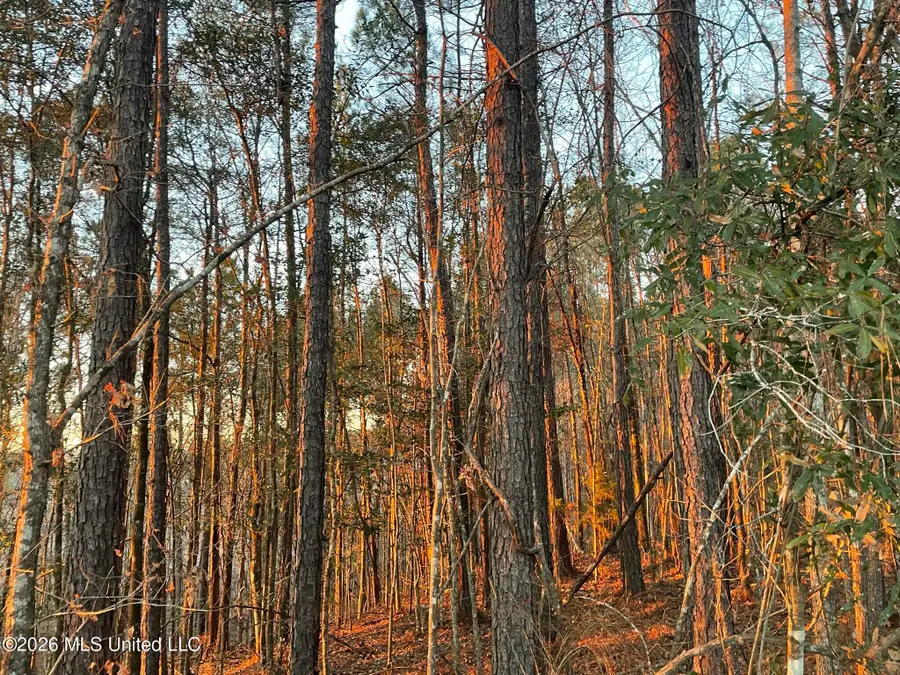 371 SW Low Water Lane, Brookhaven, MS 39601 - #2