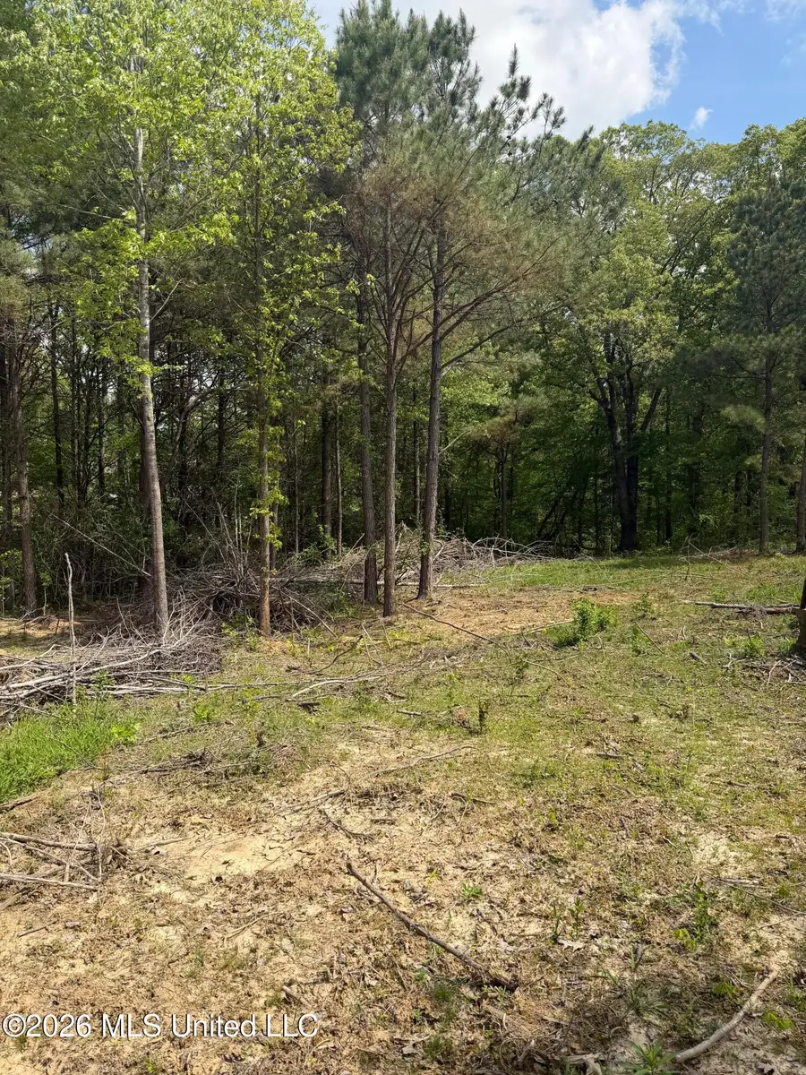 Lot 4 Cayce Rd, Byhalia, MS 38611 - #2