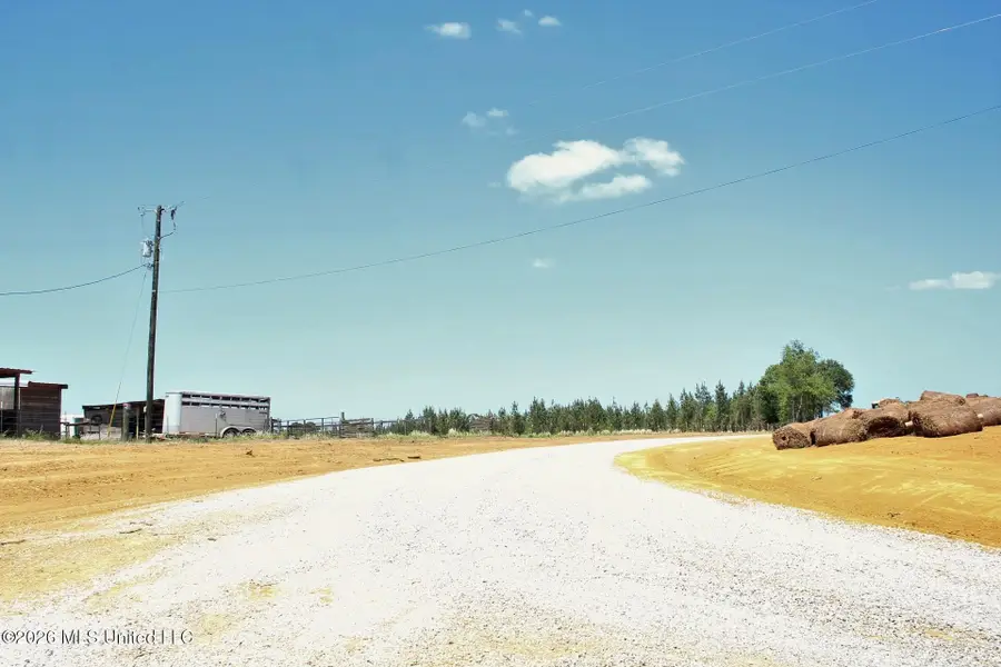 80+/-Ac Little Cedar Road, Lucedale, MS 39452 - #3