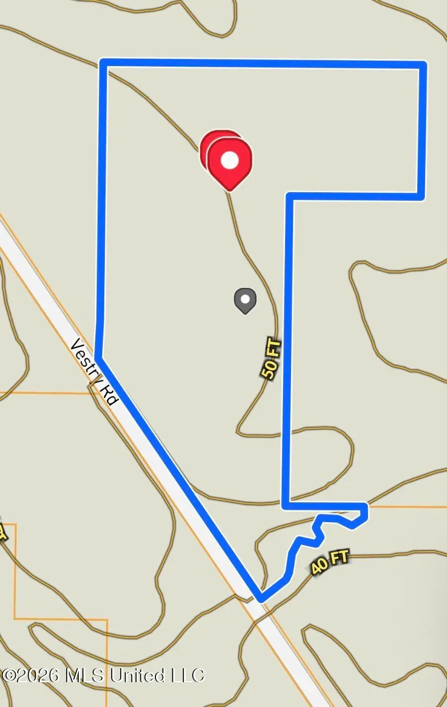 Vestry Road, Perkinston, MS 39573 - #2