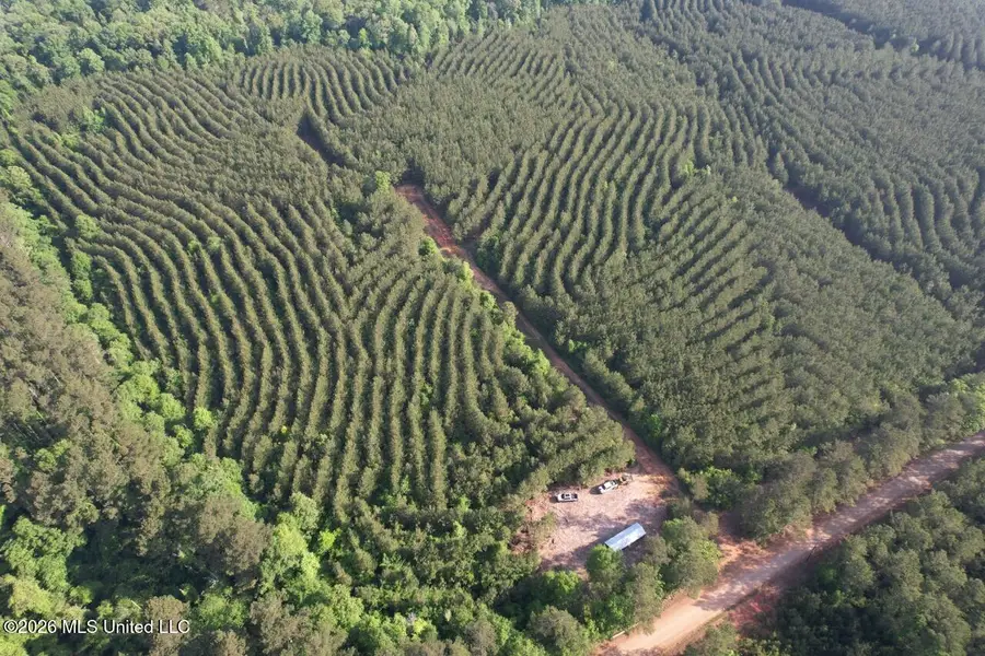 2354 Willie Redden Road, Greensburg, LA 70441 - #3