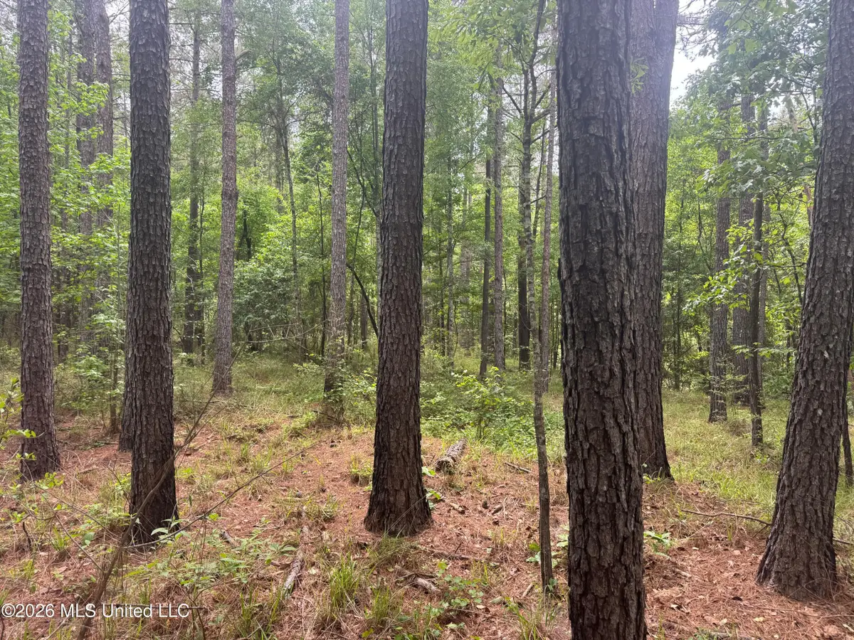 Bushtown Road, Pinola, MS 39149 - #1