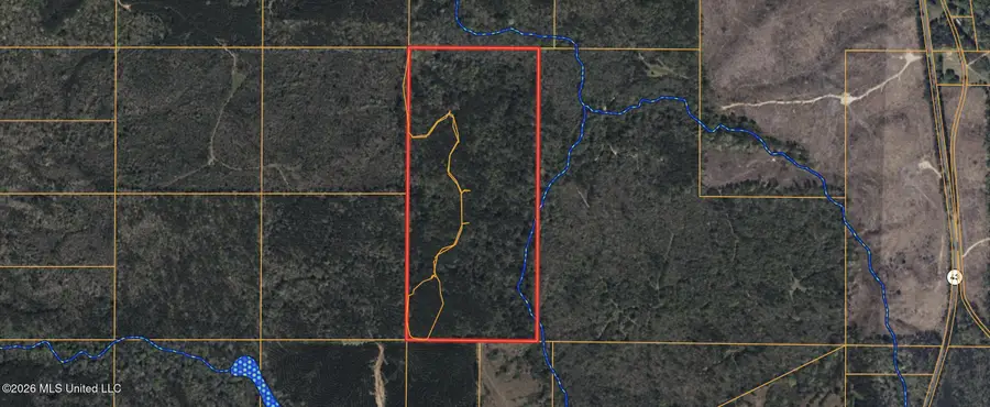 Bushtown Road, Pinola, MS 39149 - #2