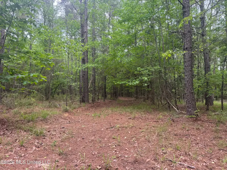 Bushtown Road, Pinola, MS 39149 - #3