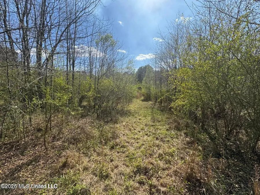 Well Street, Wesson, MS 39191 - #2