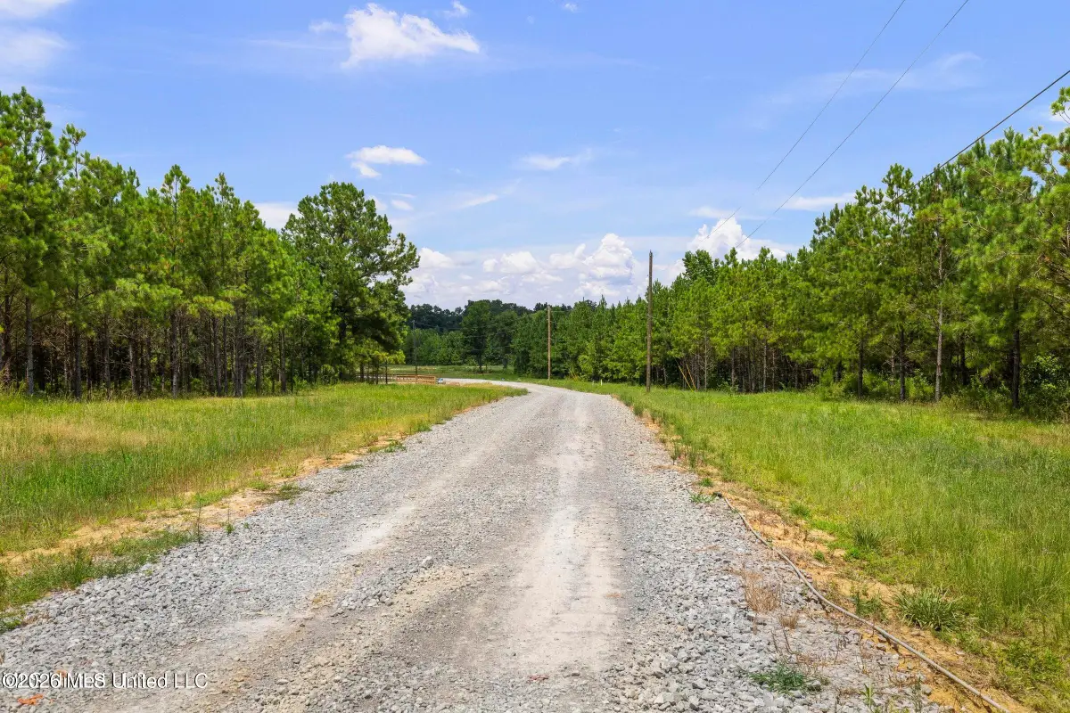 Stout Meadows Lane, Lot 17, Madison, MS 39110 - #1