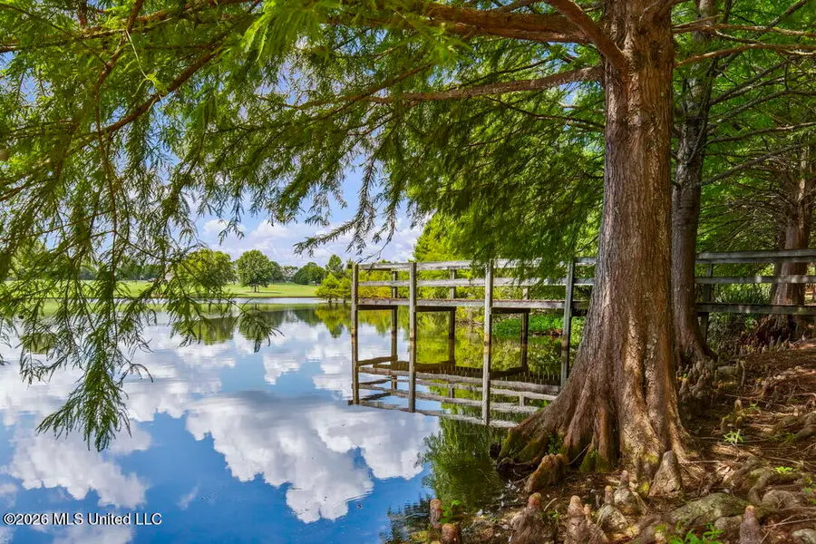 1454 Livingston Vernon Road, Flora, MS 39071 - #3