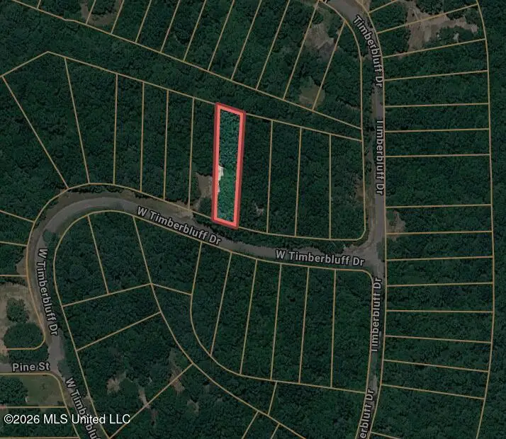 00 W Timber Bluff Drive, Lumberton, MS 39455 - #1