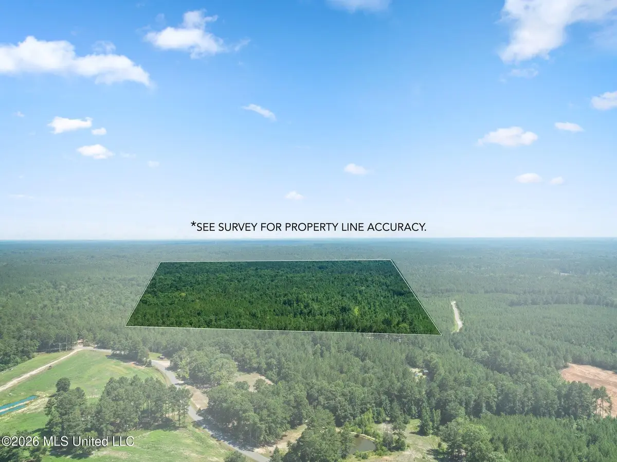 J P Hinton Road, Richton, MS 39476 - #1