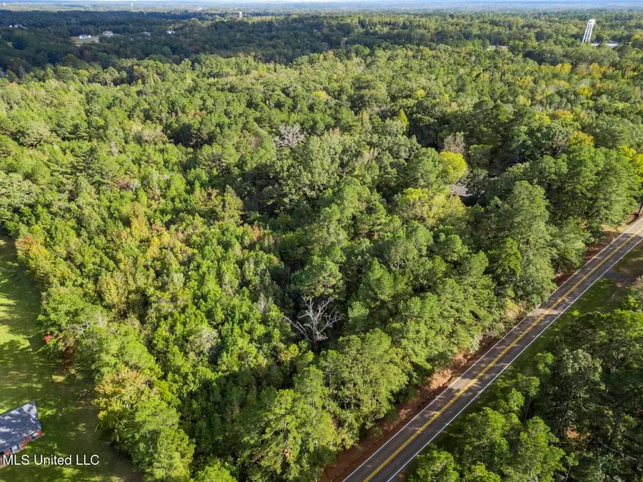 2049 Cleary Road, Florence, MS 39073 - #2