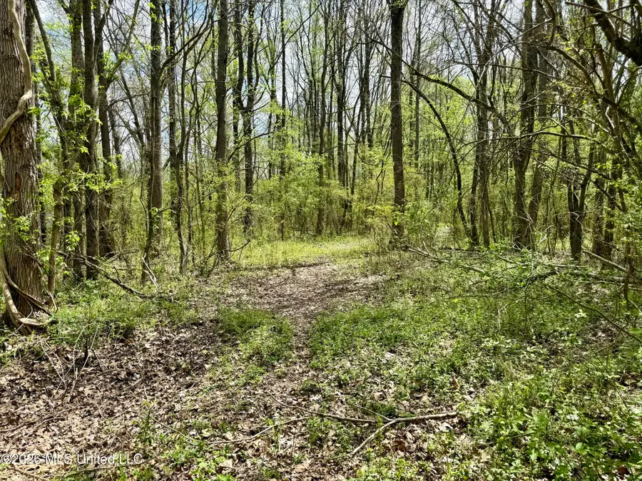 Duram Road, Olive Branch, MS 38654 - #2