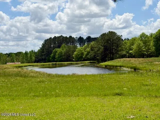 273 Vincetown Road, Sandy Hook, MS 39478 - #3