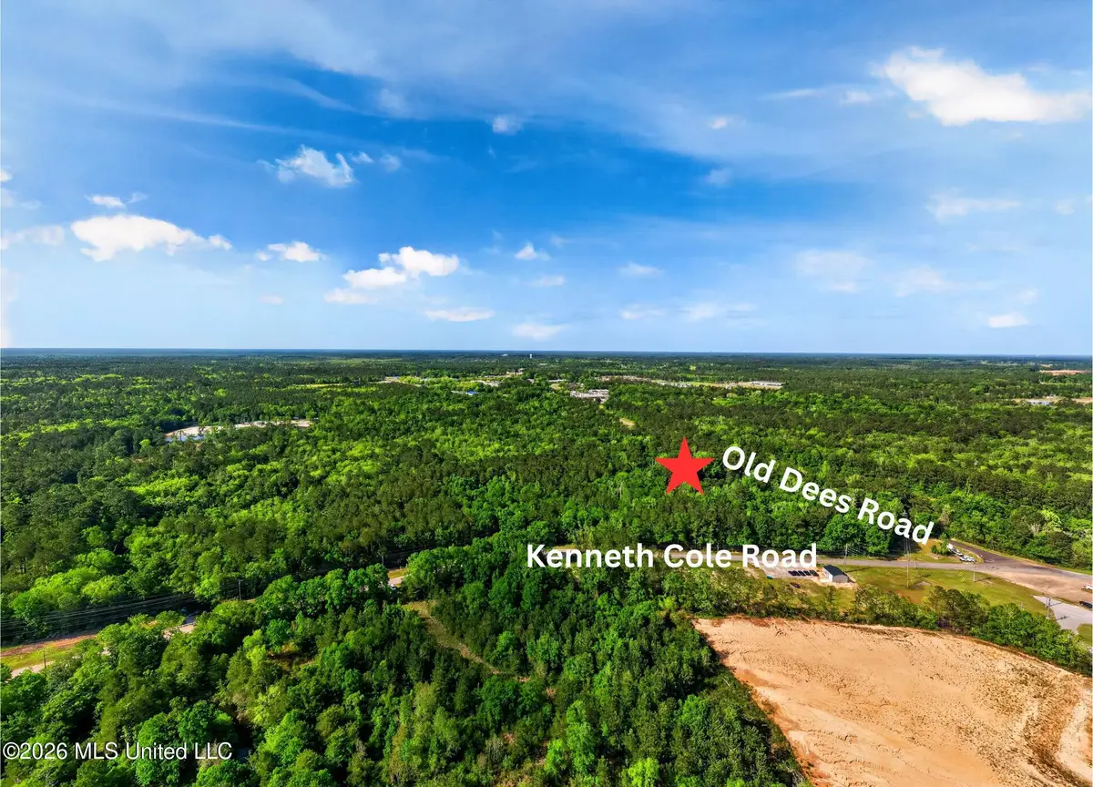 Old Dees Place, Vancleave, MS 39565 - #1