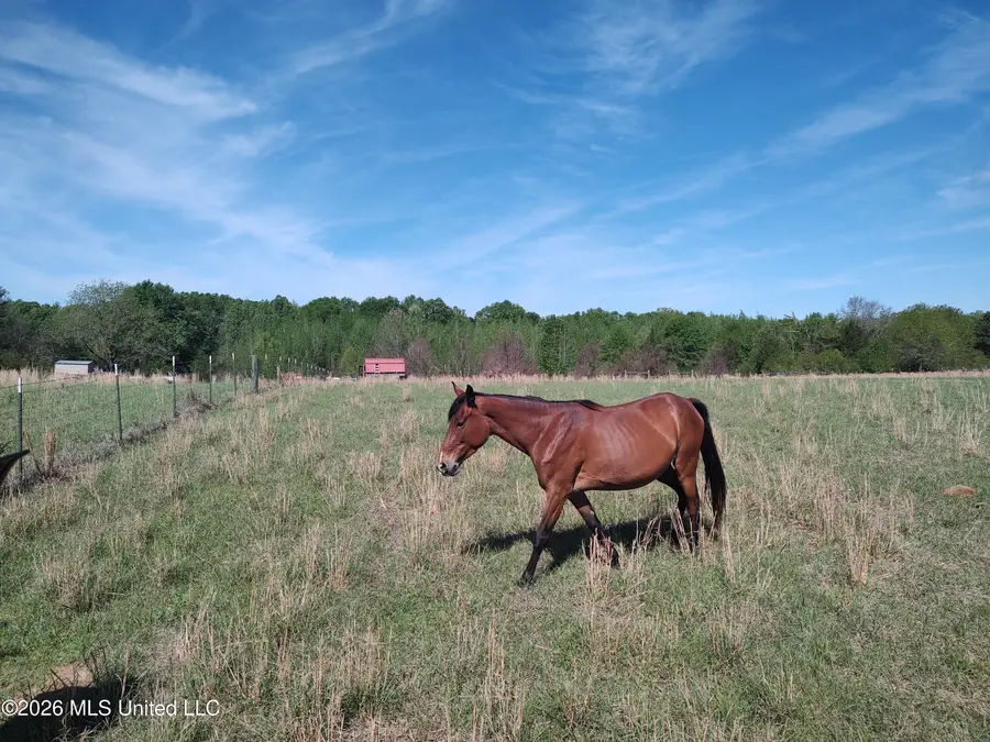 25630 Mississippi 18, Utica, MS 39175 - #3