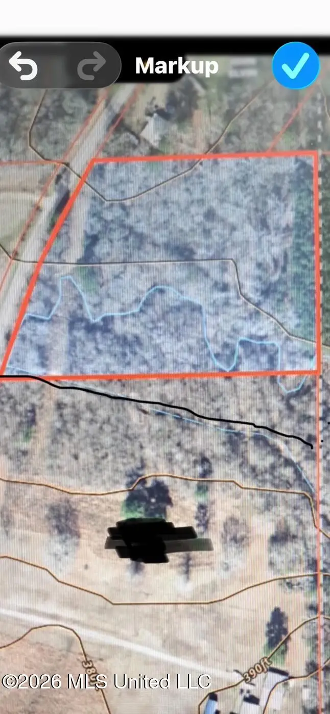 Noblin Bridge Road, Pelahatchie, MS 39145 - #1