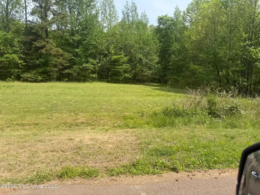 Shamrock Loop, Byhalia, MS 38611 - #2