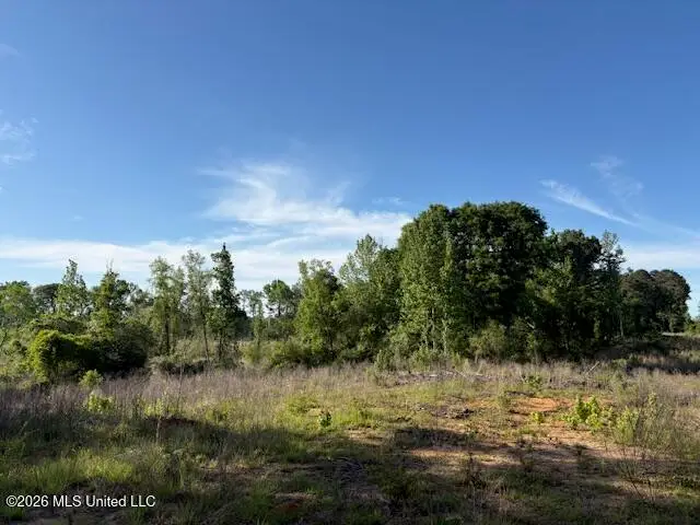 737 State Hwy 902, Pulaski, MS 39152 - #2