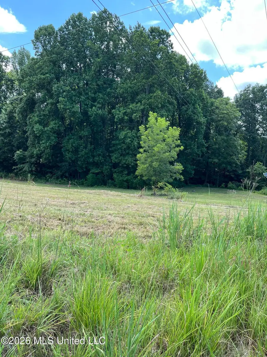 127 Parker Cove, Byhalia, MS 38611 - #2