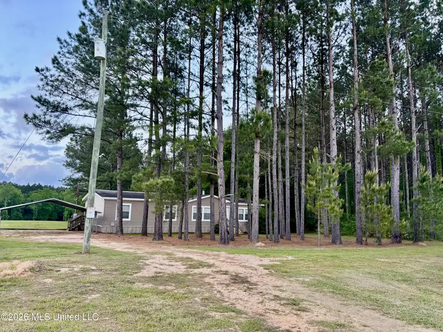 181 Firetower Road, Tylertown, MS 39667 - #3