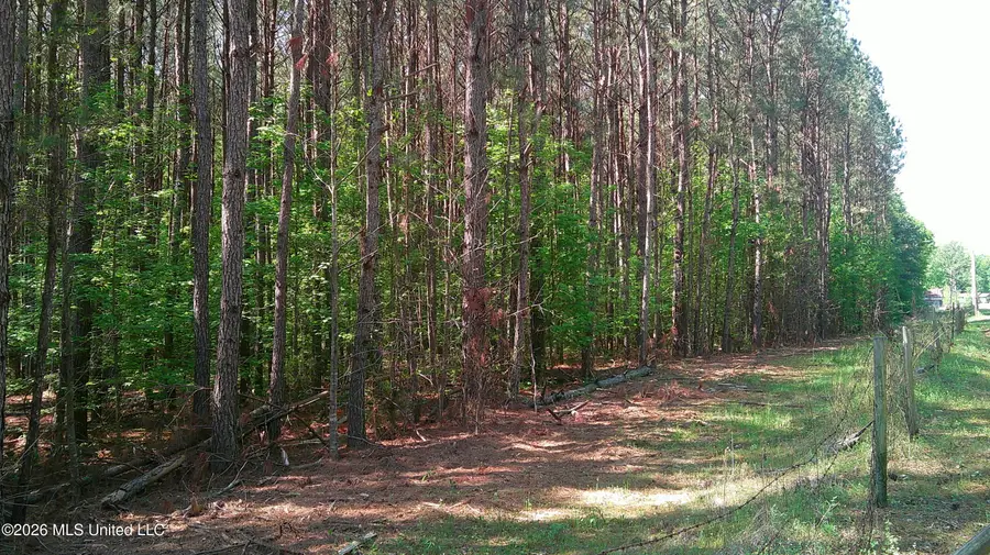 Pleasant Hills Road, Amory, MS 38821 - #3
