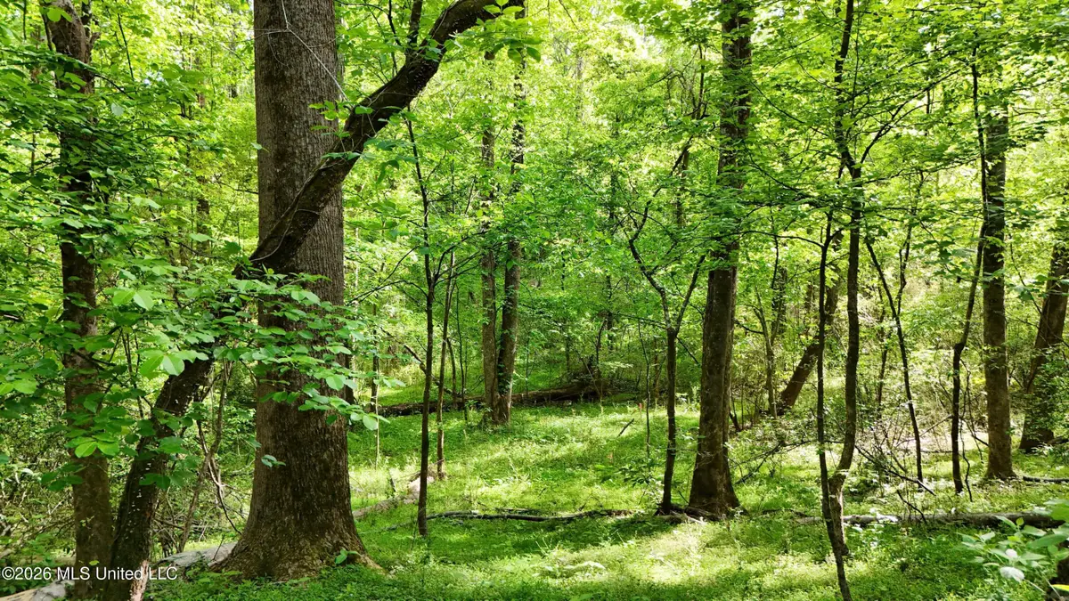 9426 Highway 315, Sardis, MS 38666 - #1