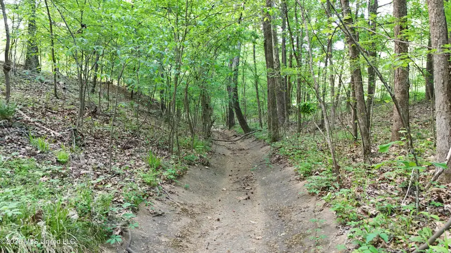 9426 Highway 315, Sardis, MS 38666 - #3