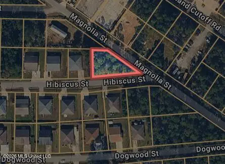 00 Hibiscus Street, Waveland, MS 39576 - #1