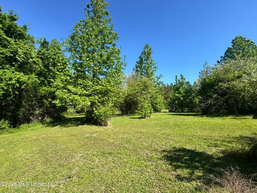 107 Union Valley Road, Byhalia, MS 38611 - #3