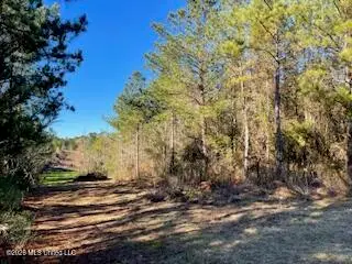 NE Linwood Lane, Brookhaven, MS 39601 - #2