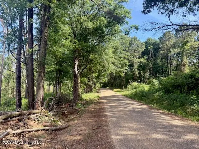 J W Miller Road, Jayess, MS 39641 - #1