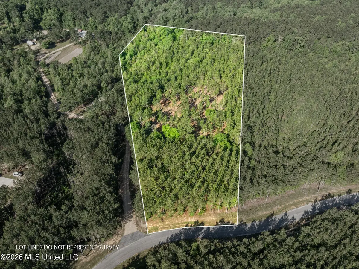 129 Progress Trail, Sumrall, MS 39482 - #1