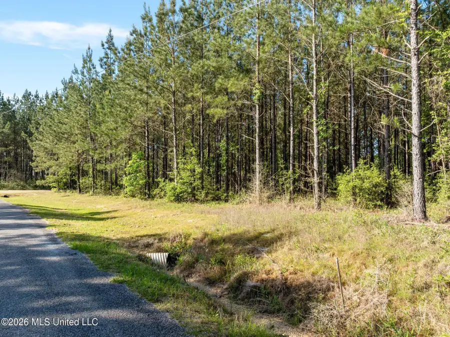 129 Progress Trail, Sumrall, MS 39482 - #3