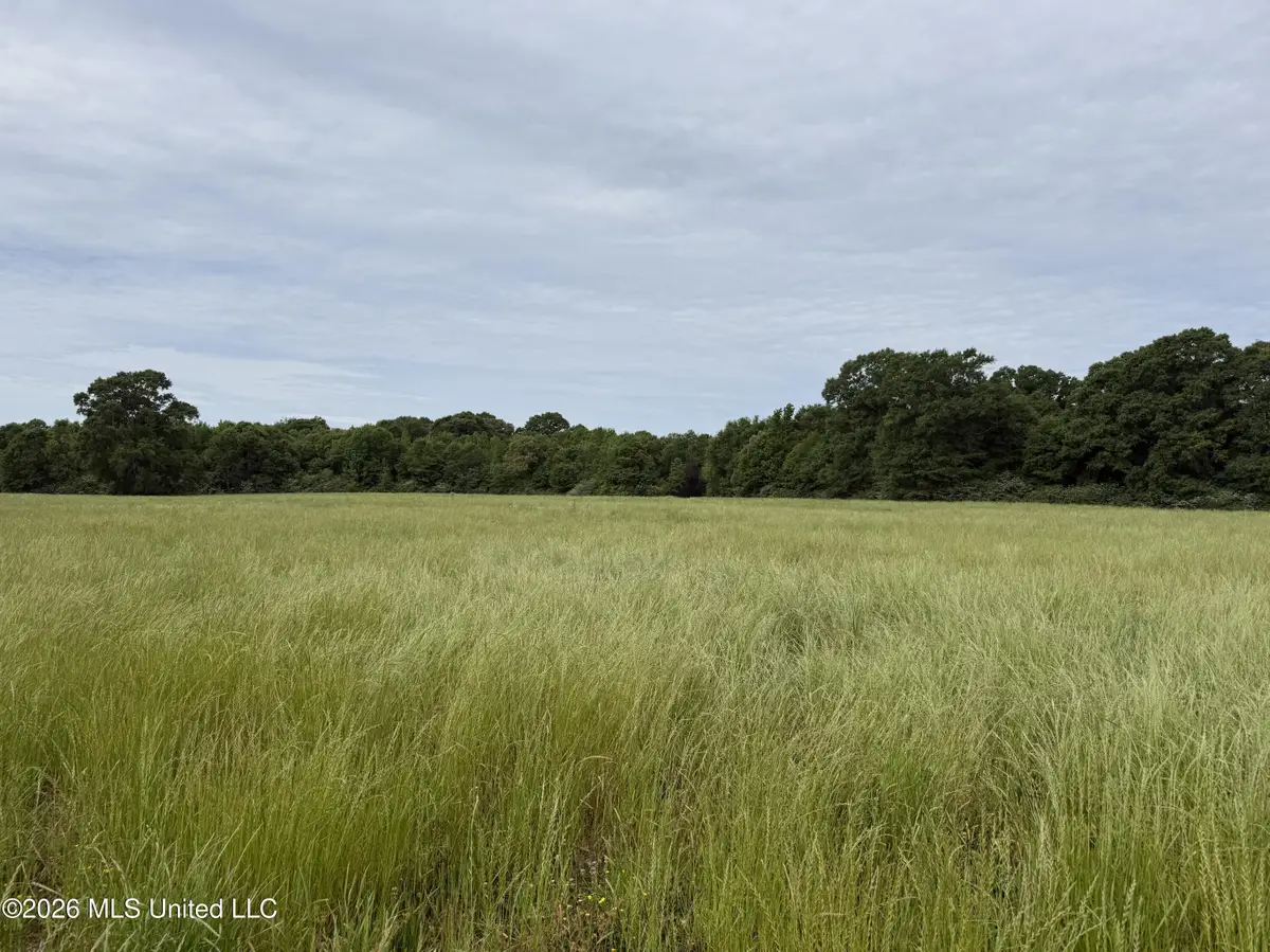 813 Holmesville Road, Jayess, MS 39641 - #1