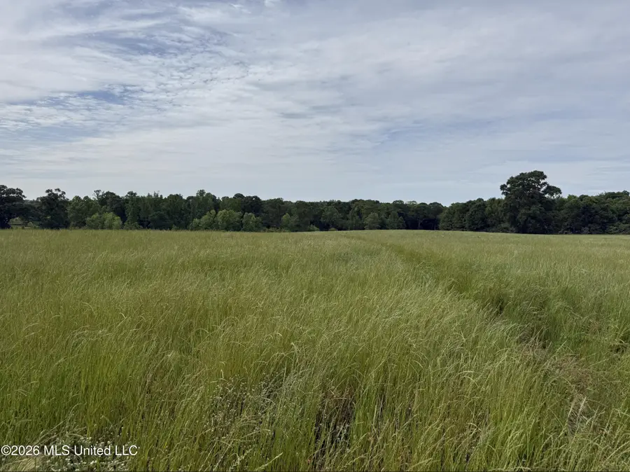 813 Holmesville Road, Jayess, MS 39641 - #3