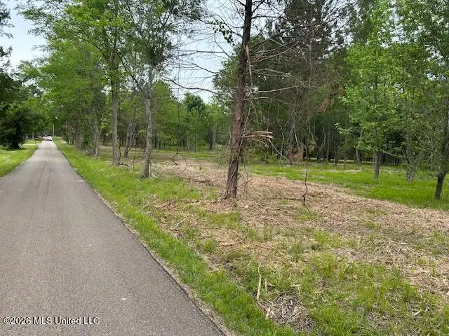 Lansbury Way, Madison, MS 39110 - #3
